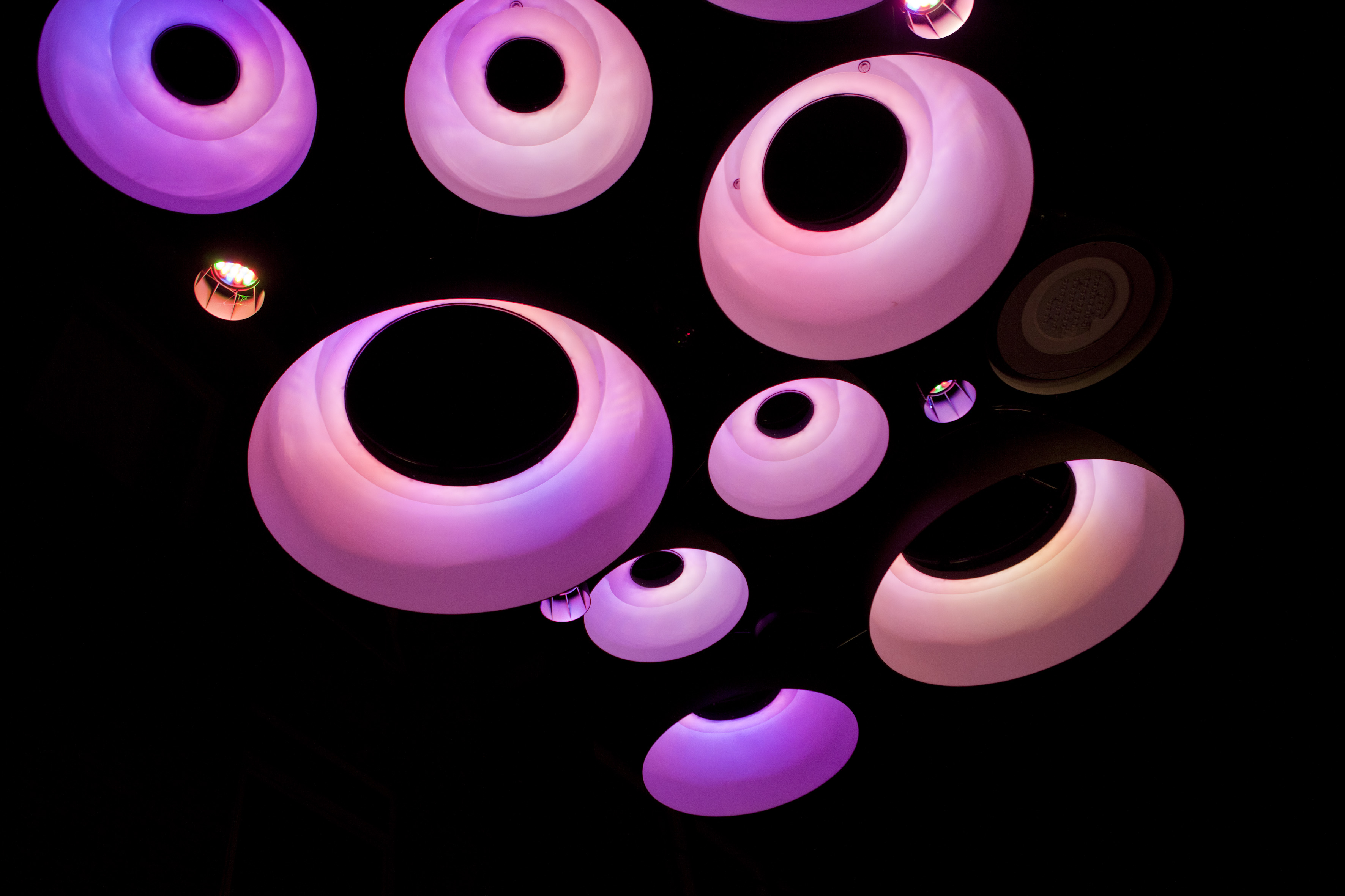 Monique van der Steen Fotografie