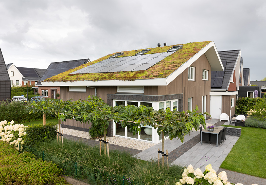 Foto: NFP Photography