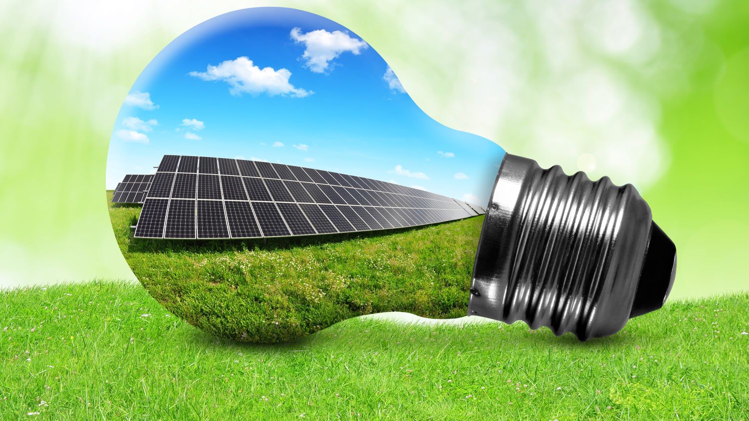 Beeld: Vaclav Volrab/Shutterstock.com