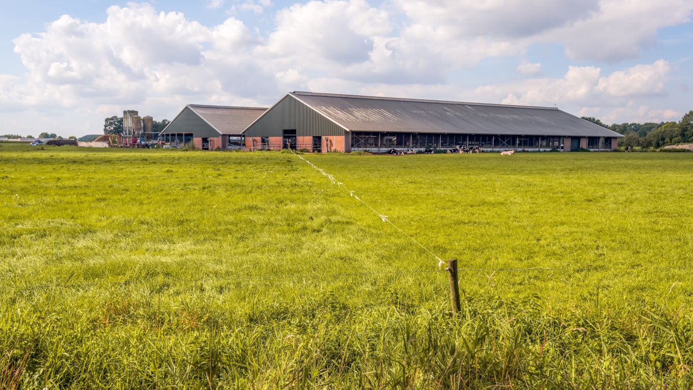 Beeld: Ruud Morijn Photographer/Shutterstock.