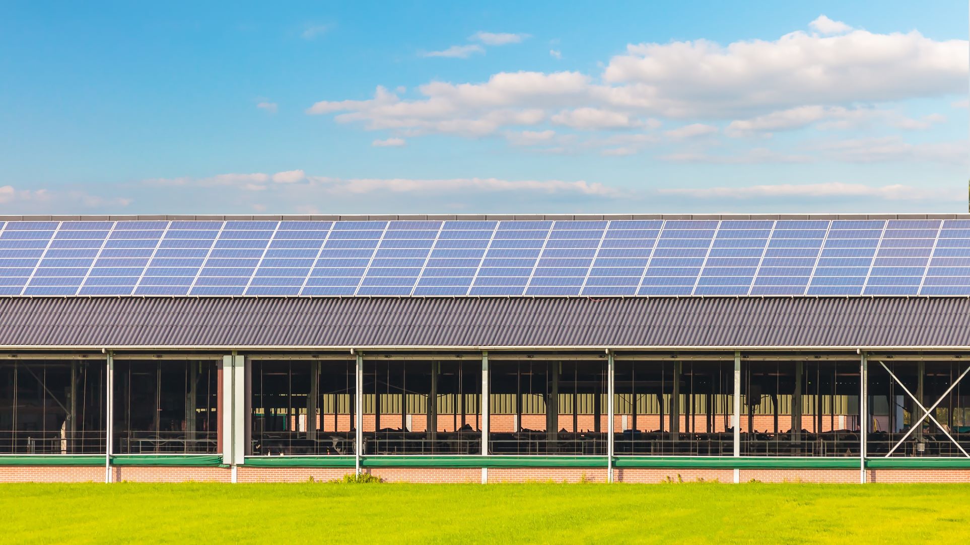 Beeld: Martin Bergsma/Shutterstock.