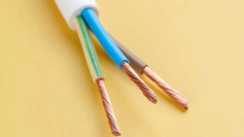 Beeld: ivan_kislitsin/Shutterstock.com