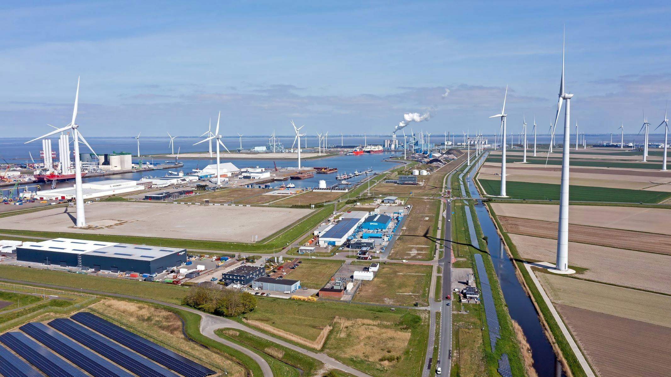 Beeld: Steve Photography/Shutterstock.com