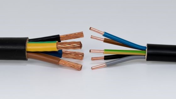 Beeld: Mirko Graul/Shutterstock.com.