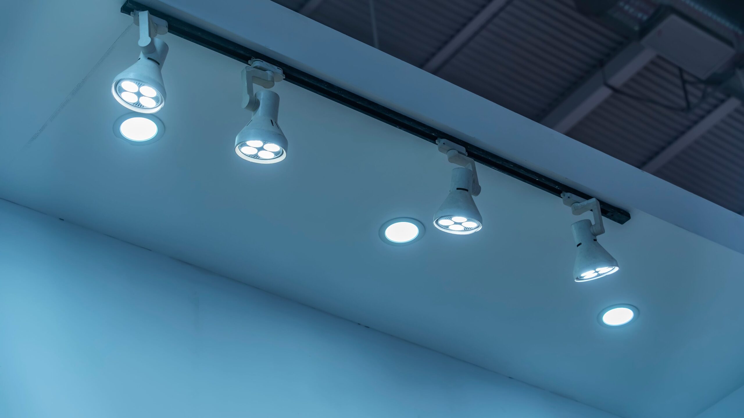 Beeld: asharkyu/Shutterstock.com