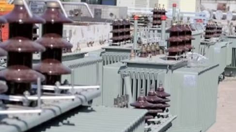 Beeld: Dainis Derics/Shutterstock.com.