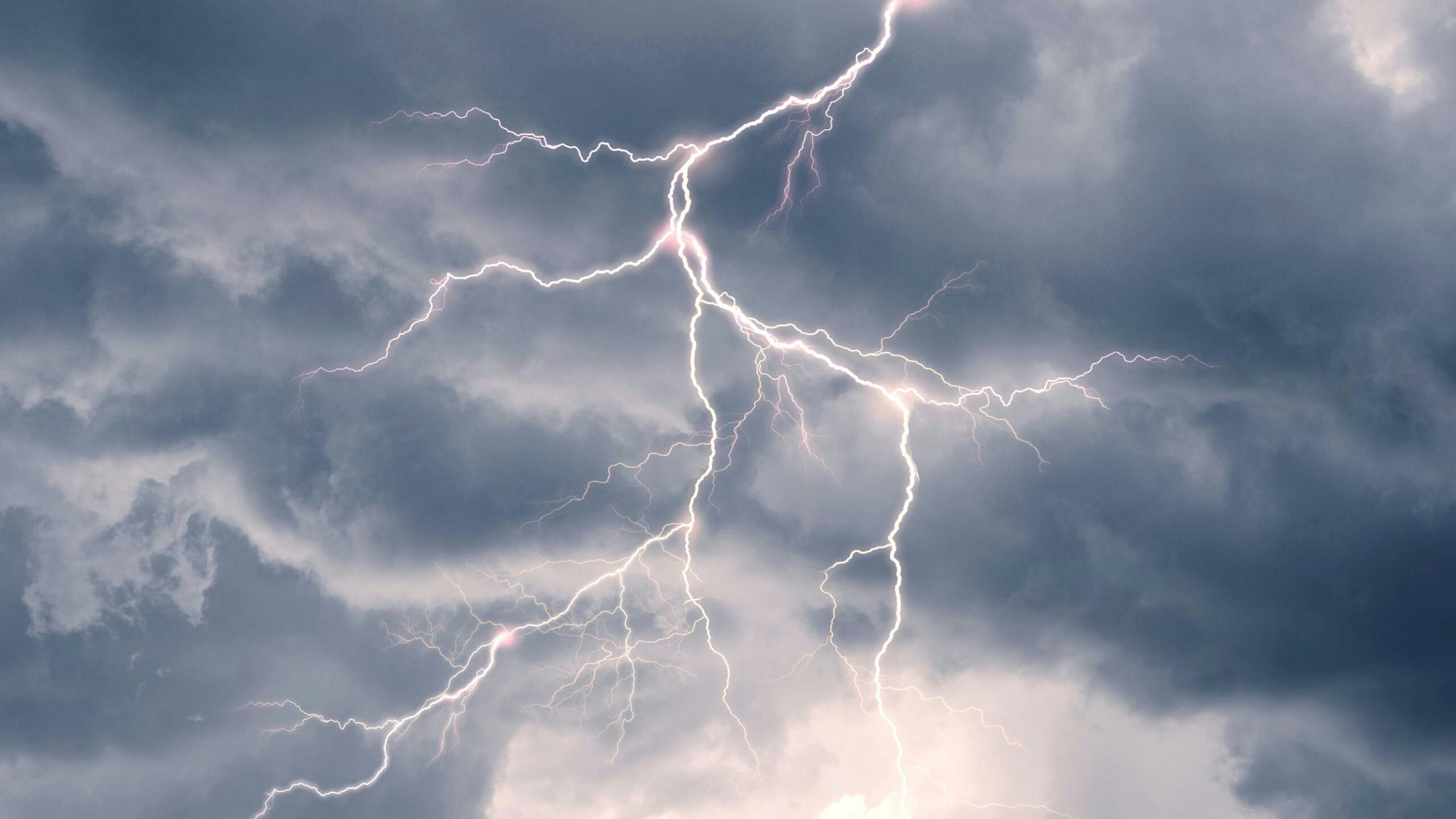 Beeld: Roman Mikhailiuk/Shutterstock.com