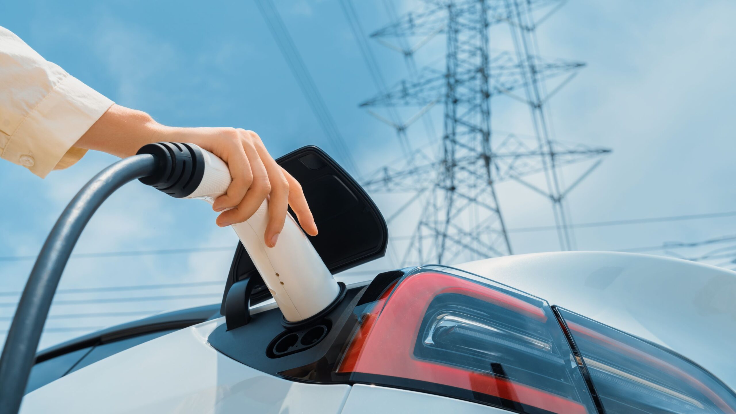 Foto: Owlie Productions/Shutterstock.com