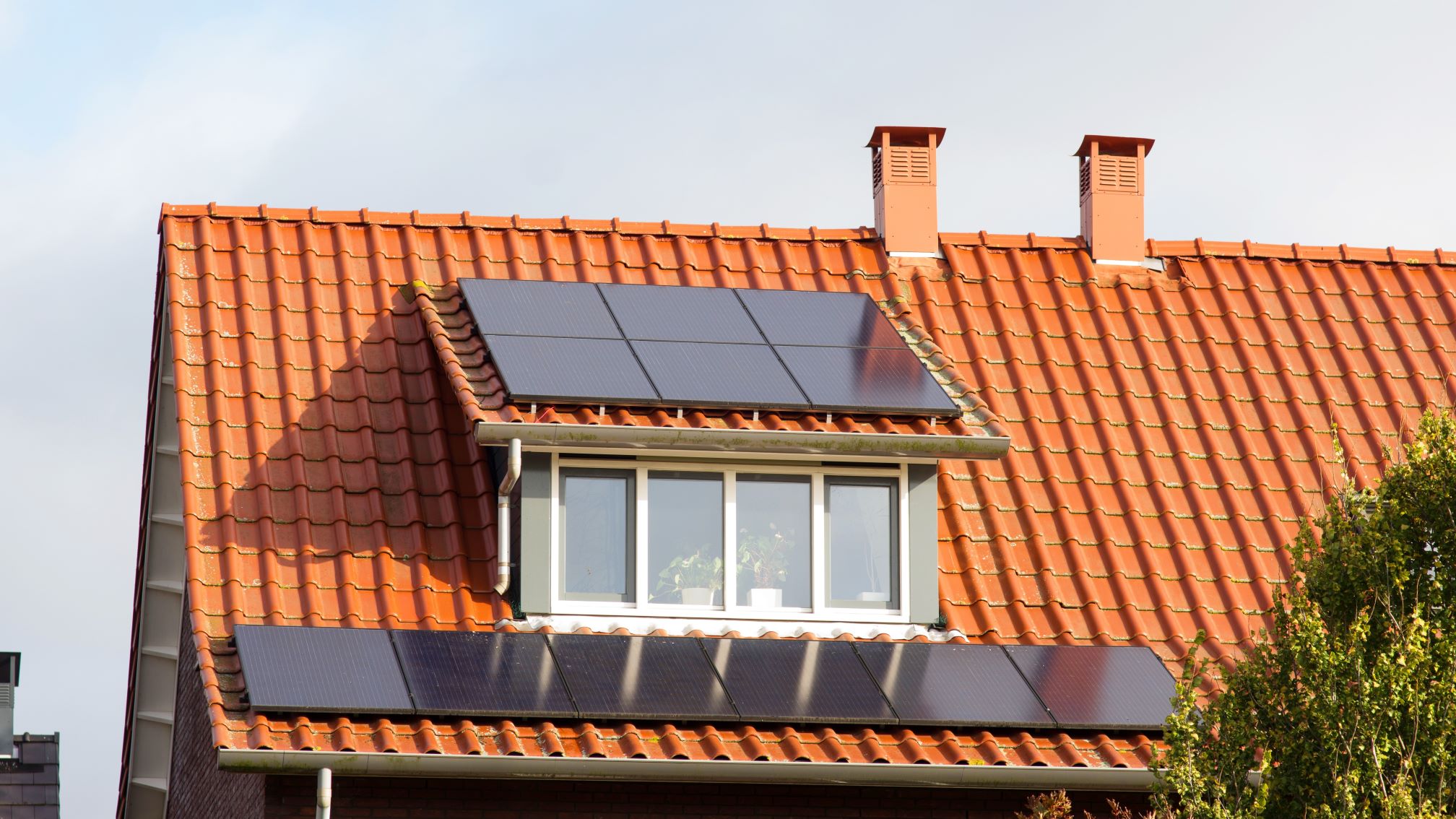 Beeld: Marcel Rommens/Shutterstock.com