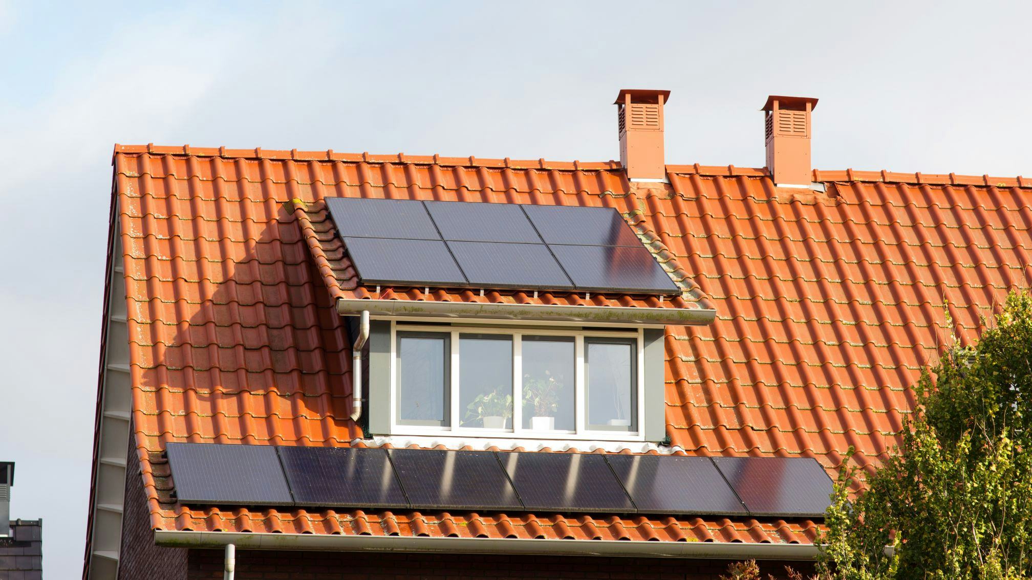 Beeld: Marcel Rommens/Shutterstock.com