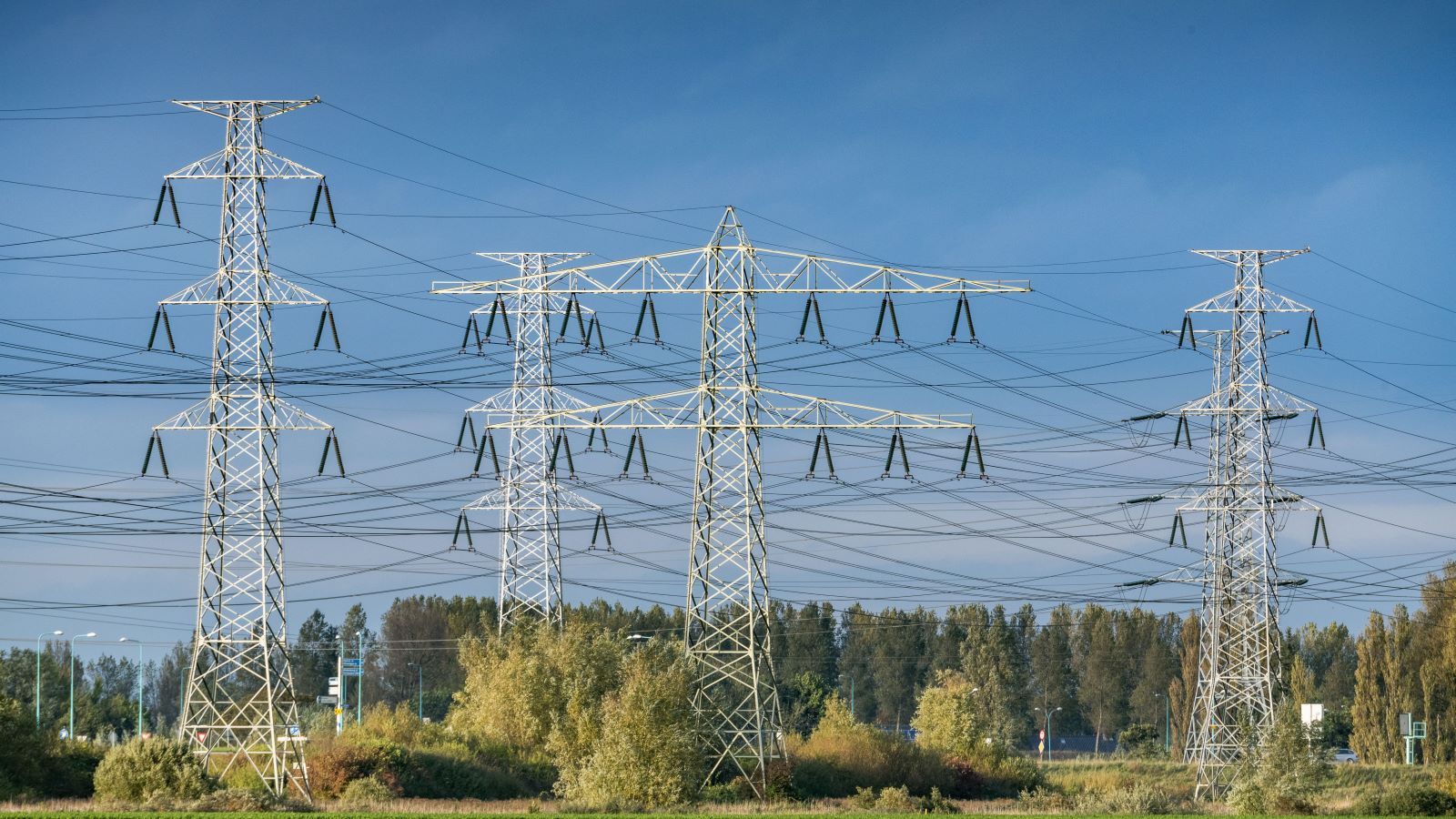 Beeld: Chris Pennarts Photography