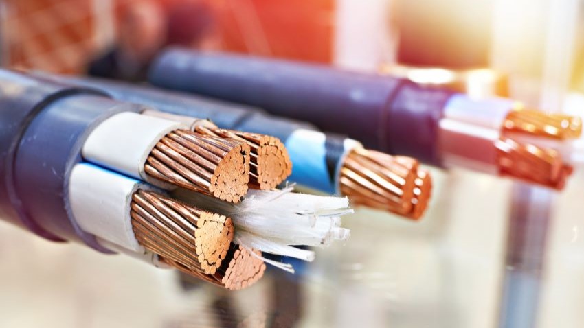 Beeld: Sergey Ryzhov/Shutterstock.com.