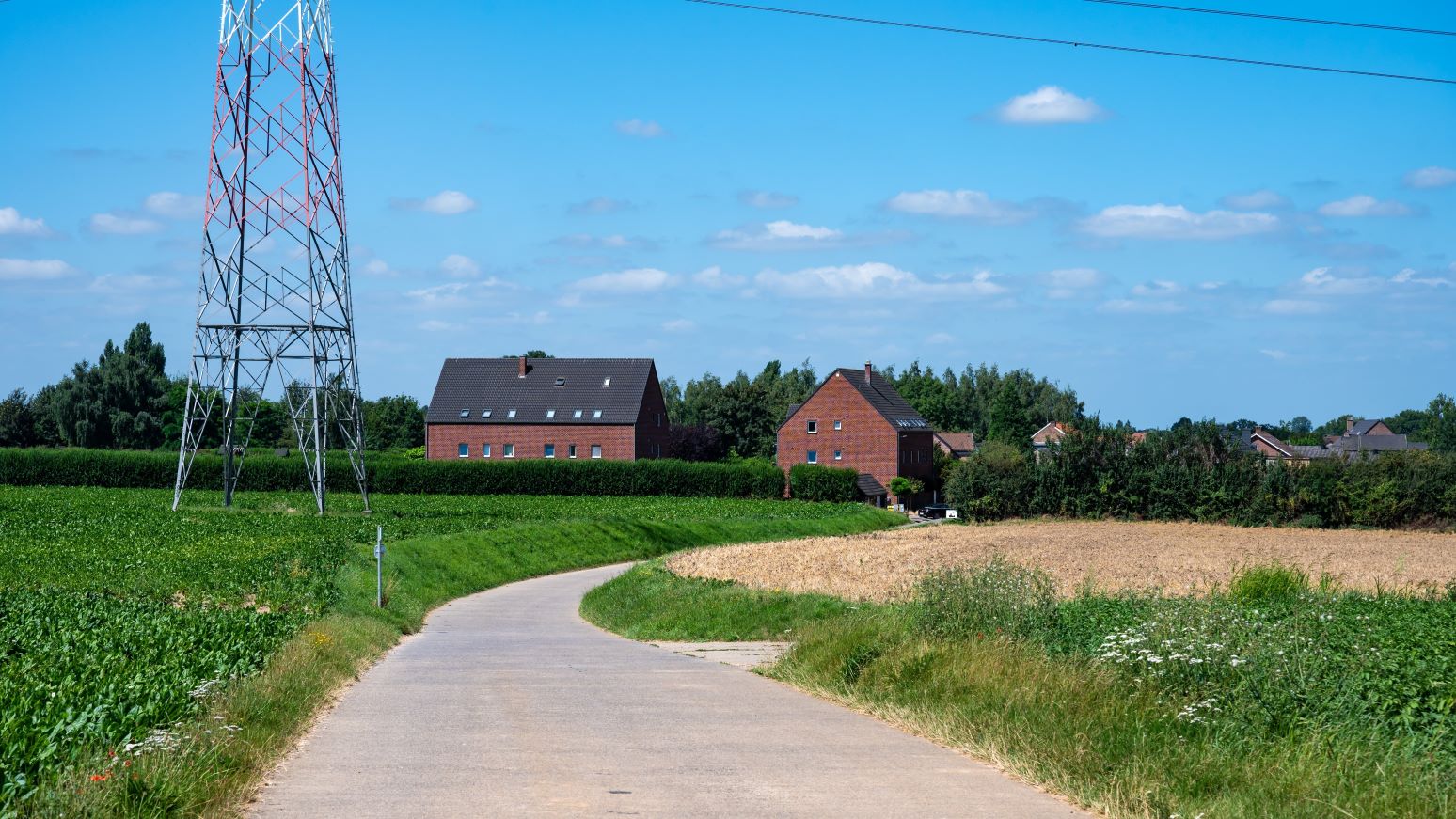 Beeld: Werner Lerooy/Shutterstock.com
