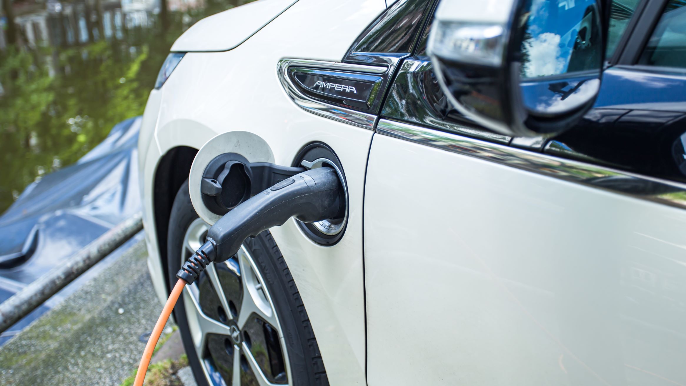 Beeld: pim pic/Shutterstock.com