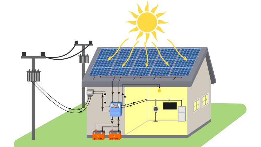 Beeld: Zhee-Graphic/Shutterstock.com.