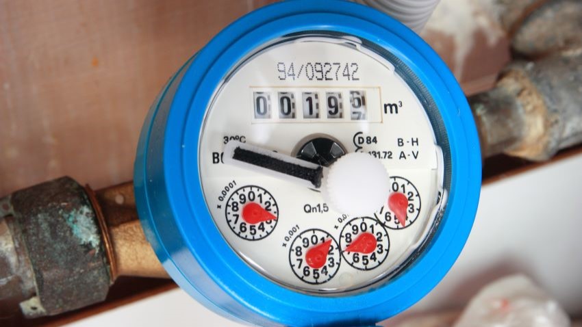 Beeld: Nyo09/Shutterstock.com.