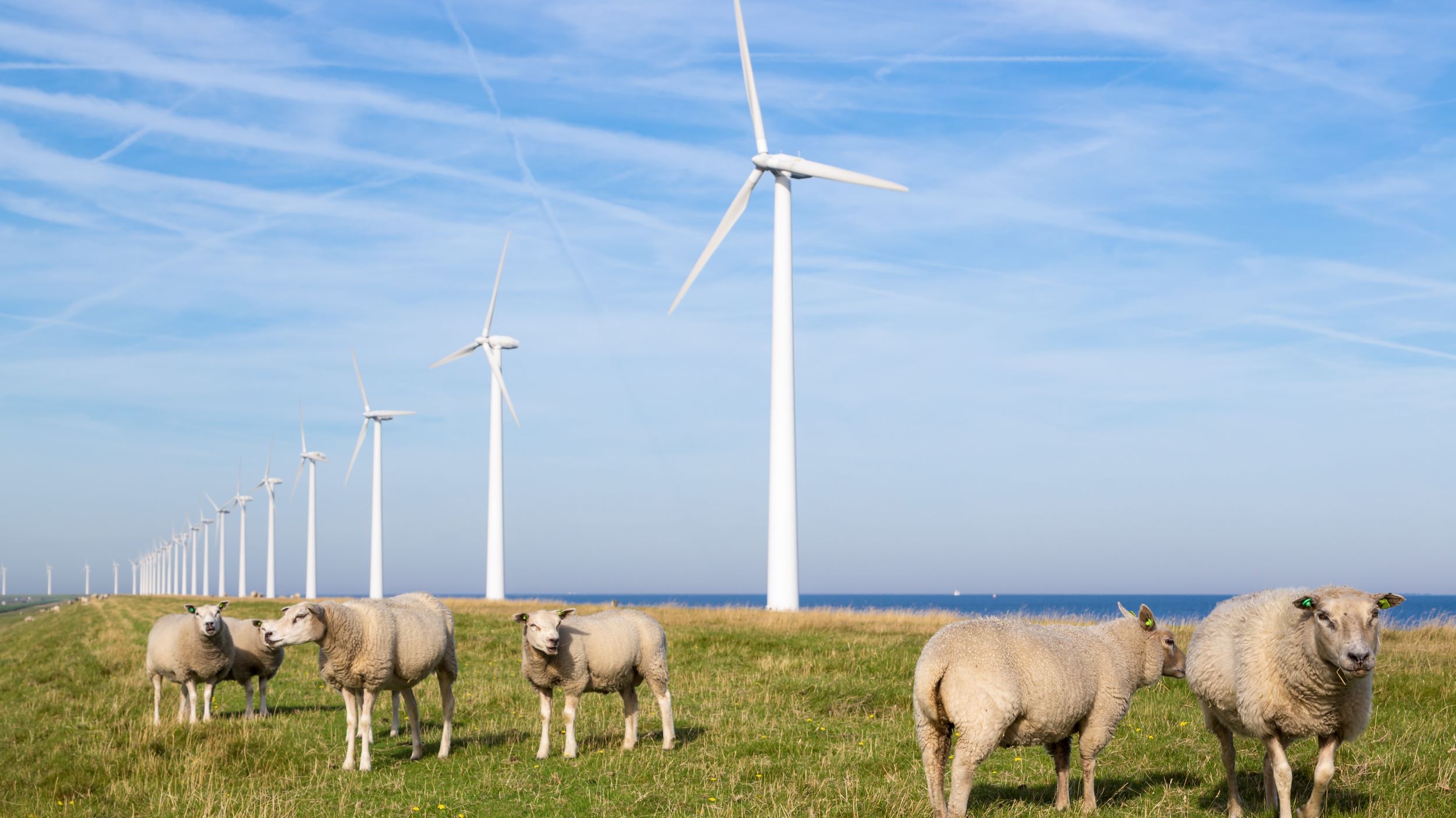 Beeld: T.W. van Urk/Shutterstock.com