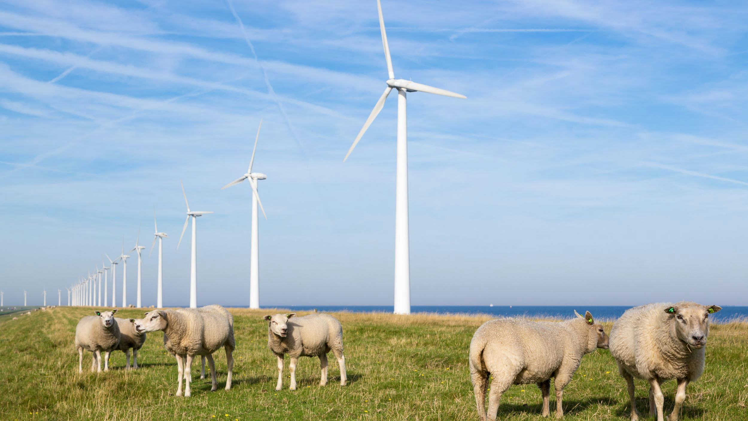 Beeld: T.W. van Urk/Shutterstock.com