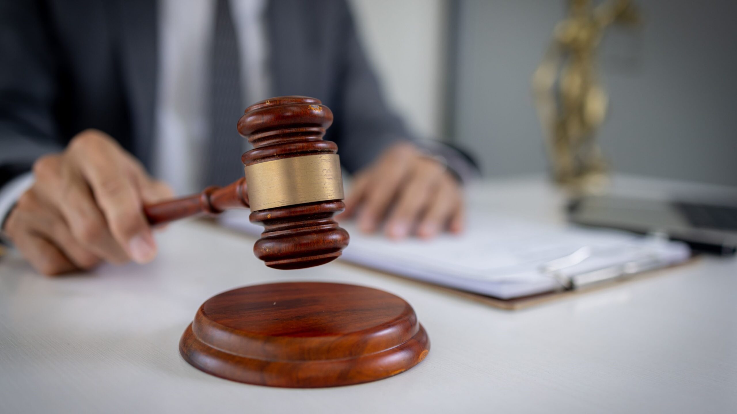 Beeld David Gyung/Shutterstock.com