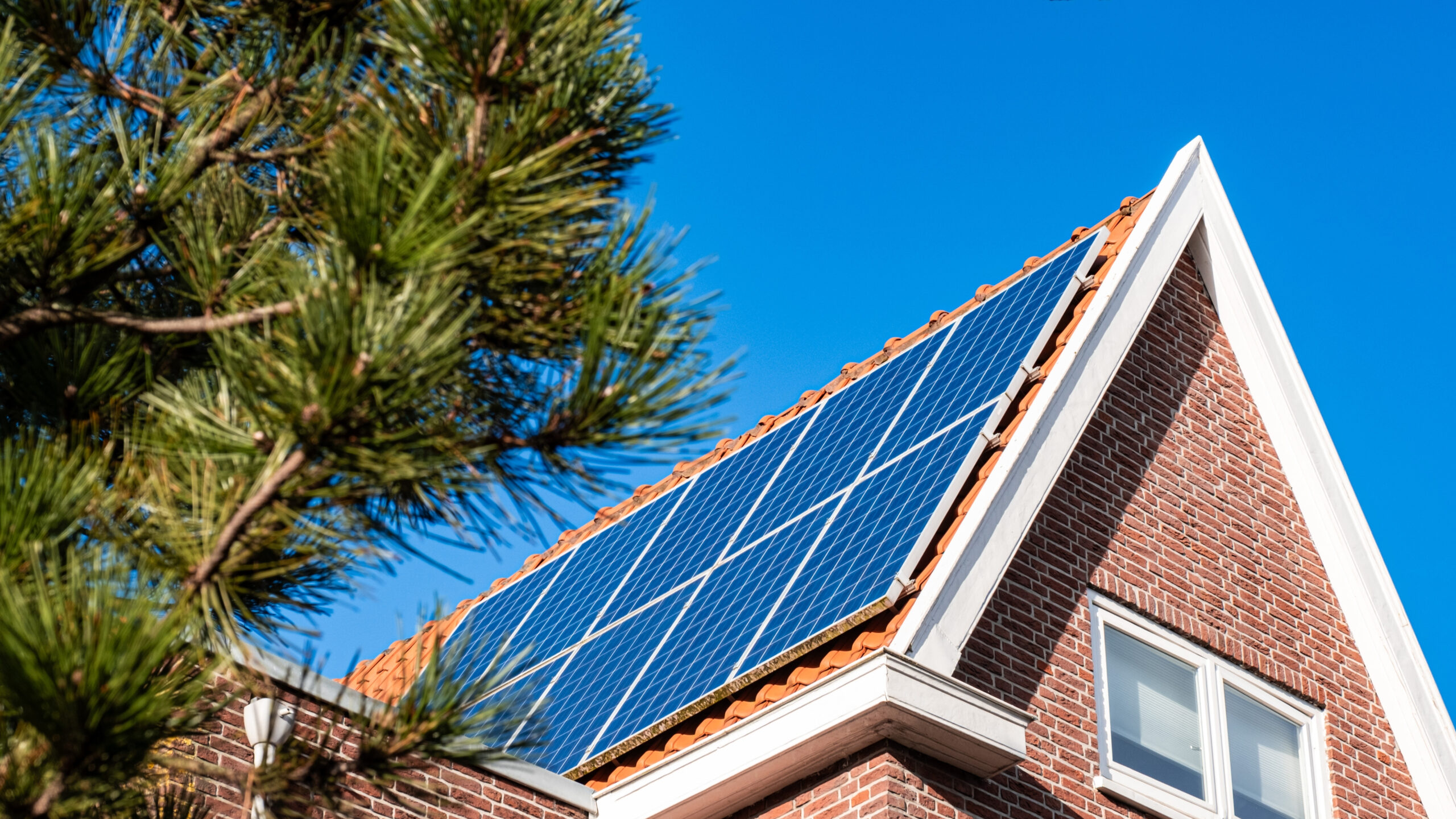 Foto Shutterstock, NataliAlba