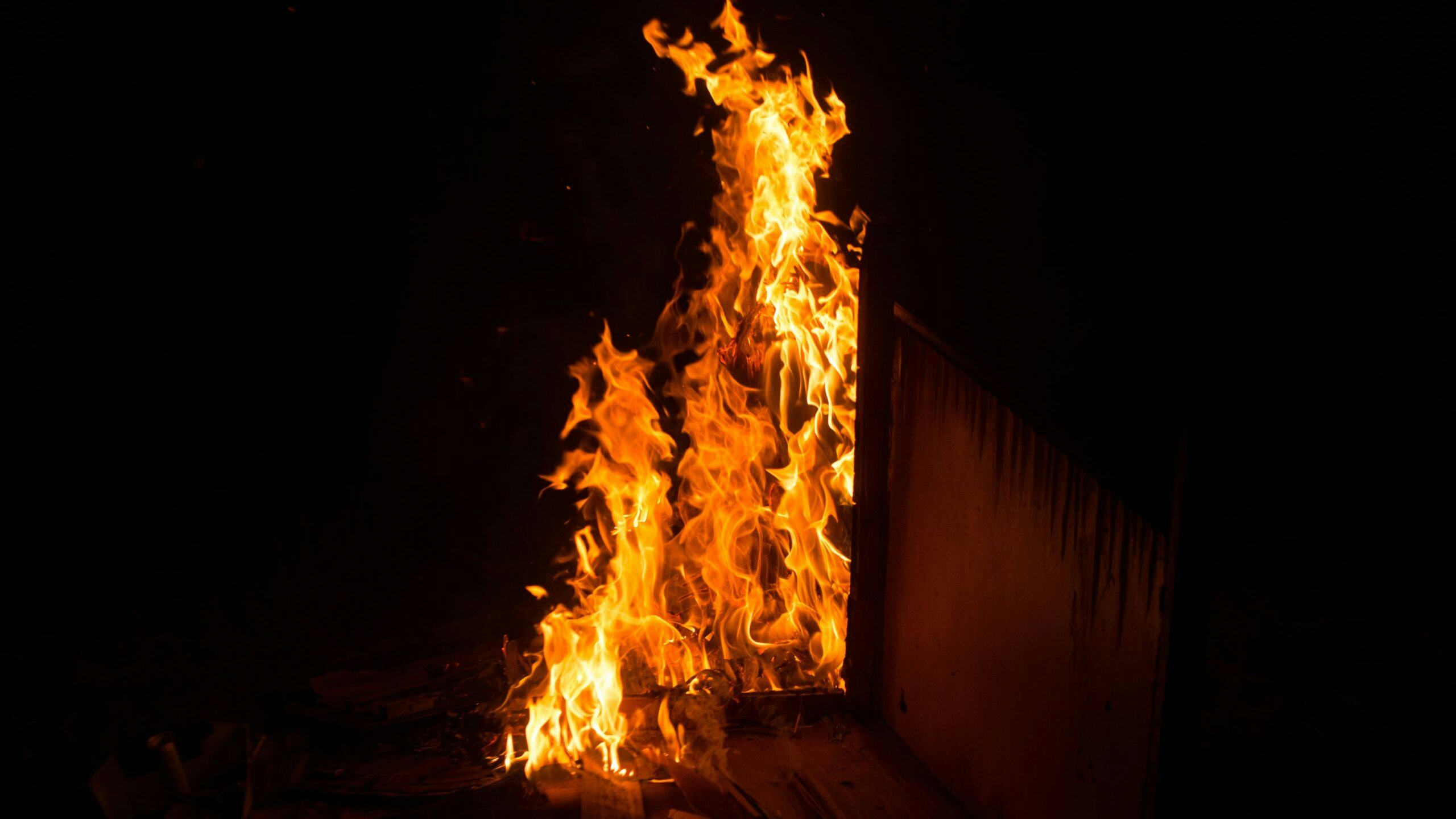 Beeld: Surak Chaipayoun/Shutterstock.com