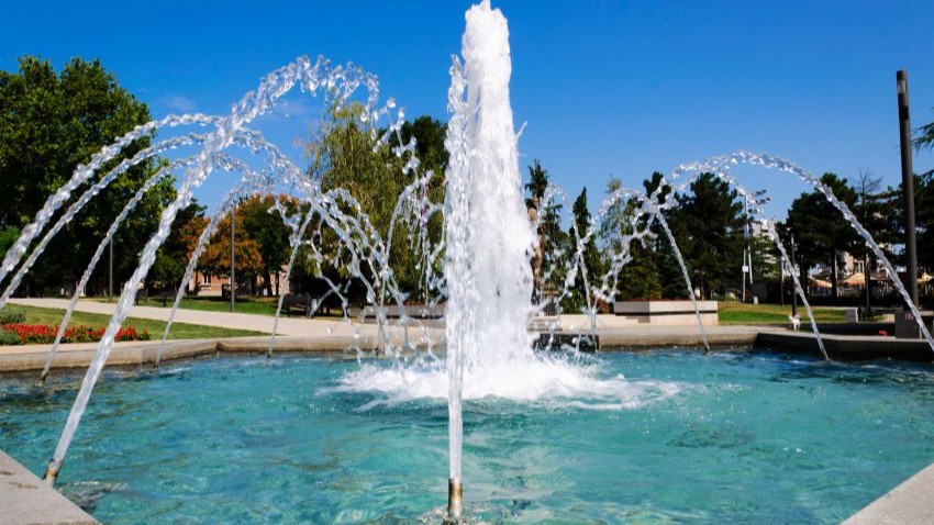 Beeld: ltummy/Shutterstock.com.