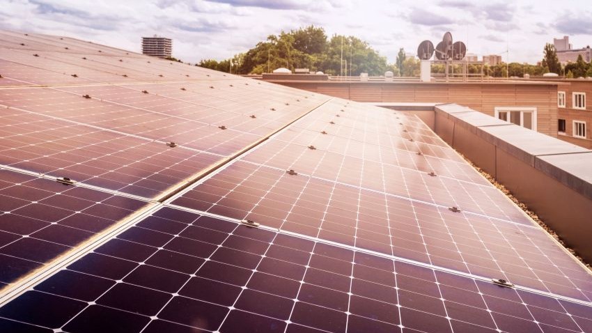 Beeld: Mariana Serdynska/Shutterstock.com.