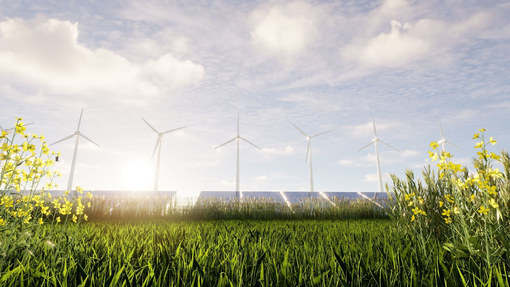 Beeld: Suvit Topaiboon/Shutterstock.com