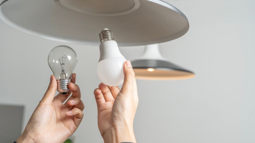 Beeld: jittawit21/Shutterstock.com.