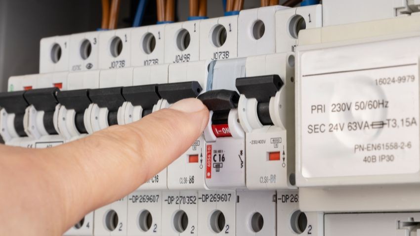 Beeld: MAXSHOT.PL/Shutterstock.com.