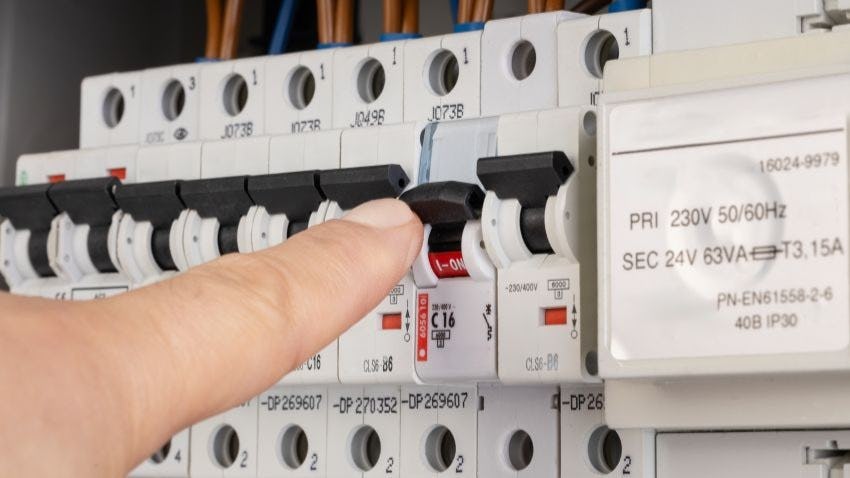 Beeld: MAXSHOT.PL/Shutterstock.com.