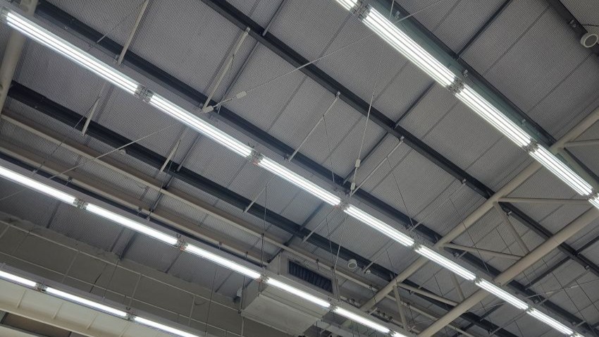 Beeld: MeSamong/Shutterstock.com.