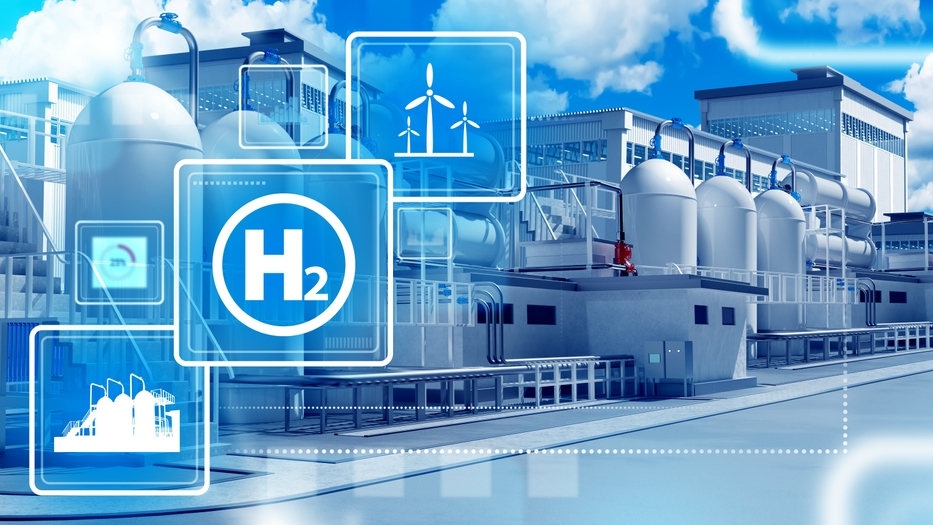 Beeld: Shutterstock, Photogrin