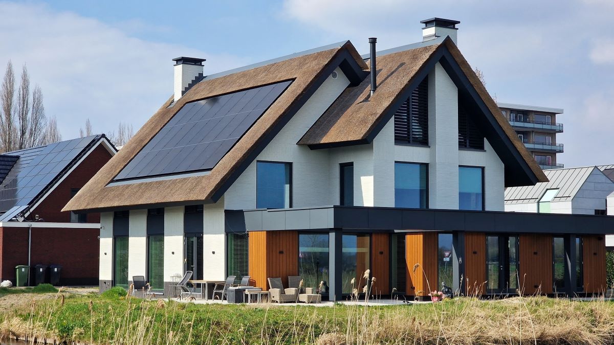 Beeld: Gabriela Beres/Shutterstock.com