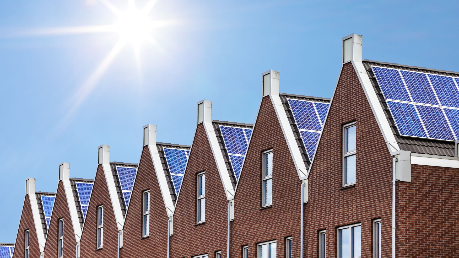 Beeld: Martin Bergsma/Shutterstock.com