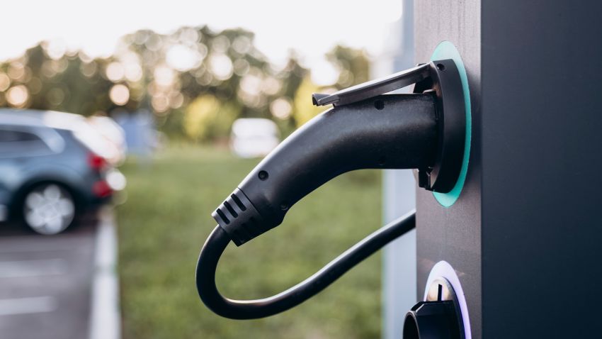 Beeld: sav_an_dreas/Shutterstock.com.