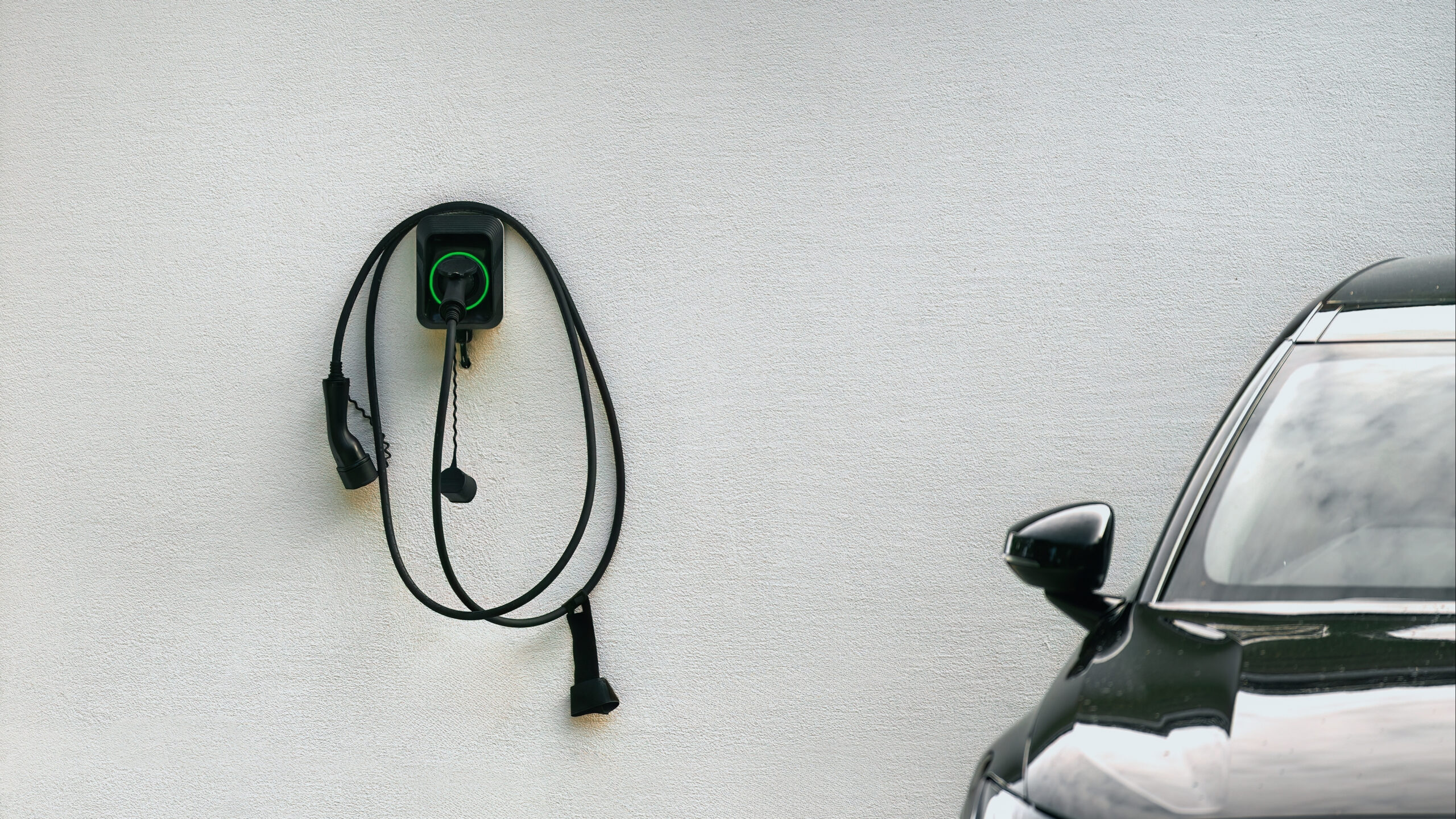 Shutterstock: alexgo.photography.