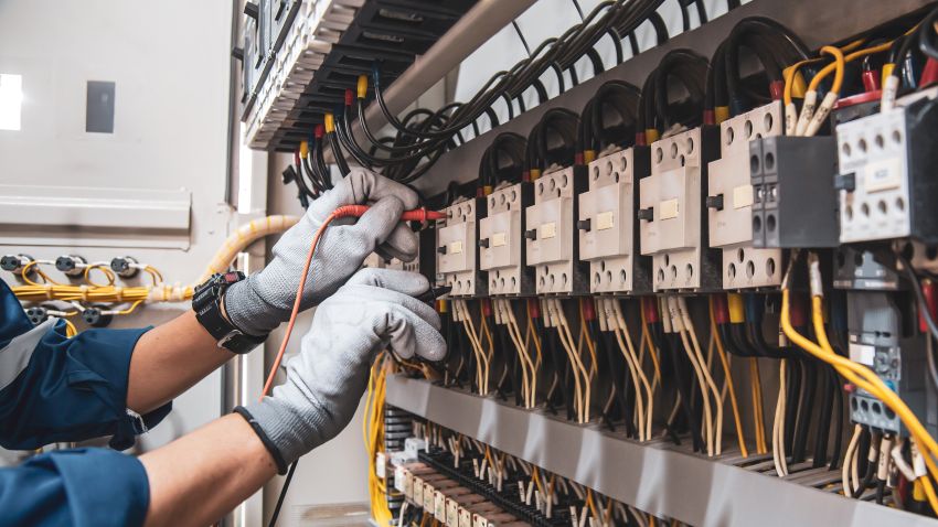 Beeld: Eakrin Rasadonyindee/Shutterstock.com.