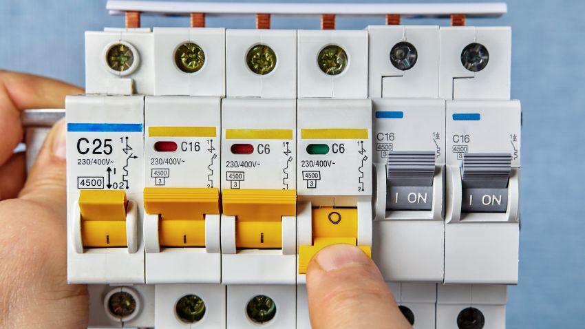 Beeld: Grigvovan/Shutterstock.com.