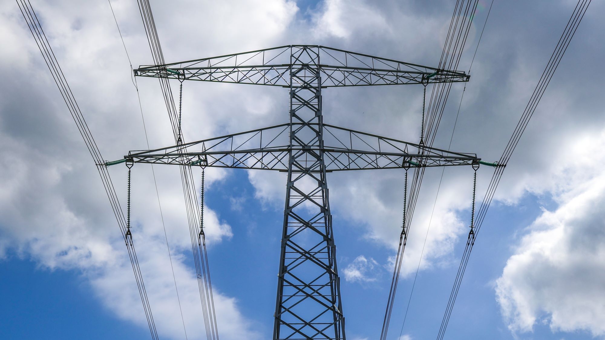 Beeld Andre Muller/Shutterstock.com