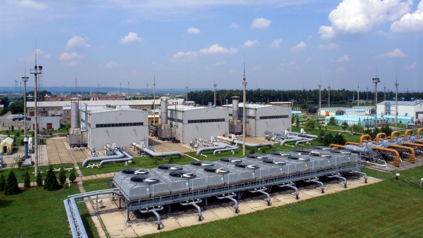 Beeld: Oleg - F/Shutterstock.com.