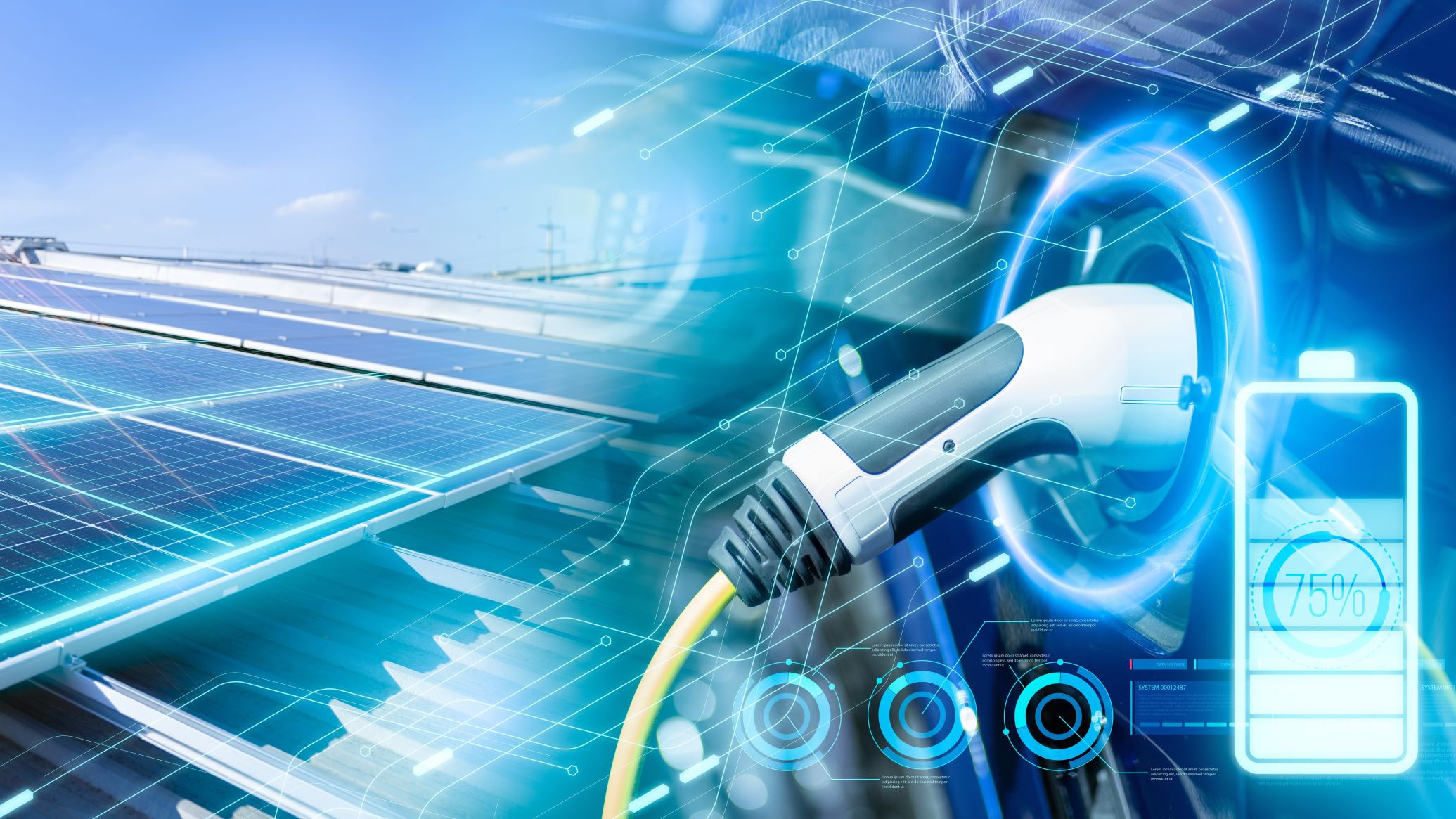 Beeld: Fit Ztudio/Shutterstock.com