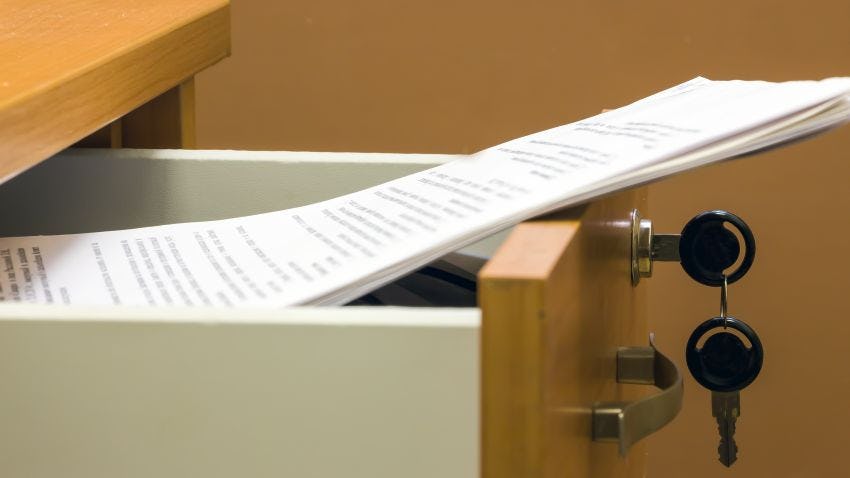 Beeld: Proshkin Aleksandr/Shutterstock.com.