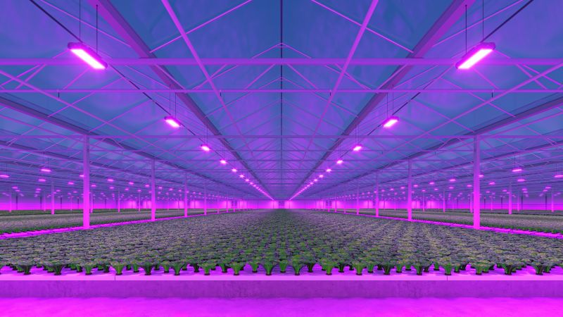 Beeld: Nikolay_E/Shutterstock.com.