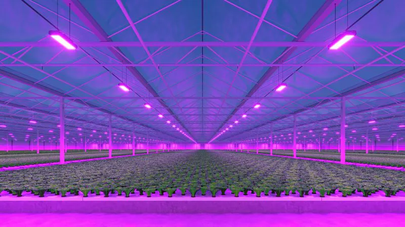 Beeld: Nikolay_E/Shutterstock.com.