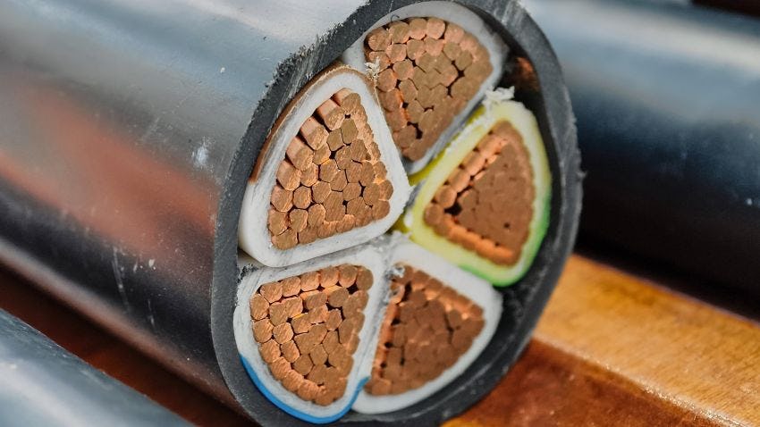 Beeld: Nordroden/Shutterstock.com.