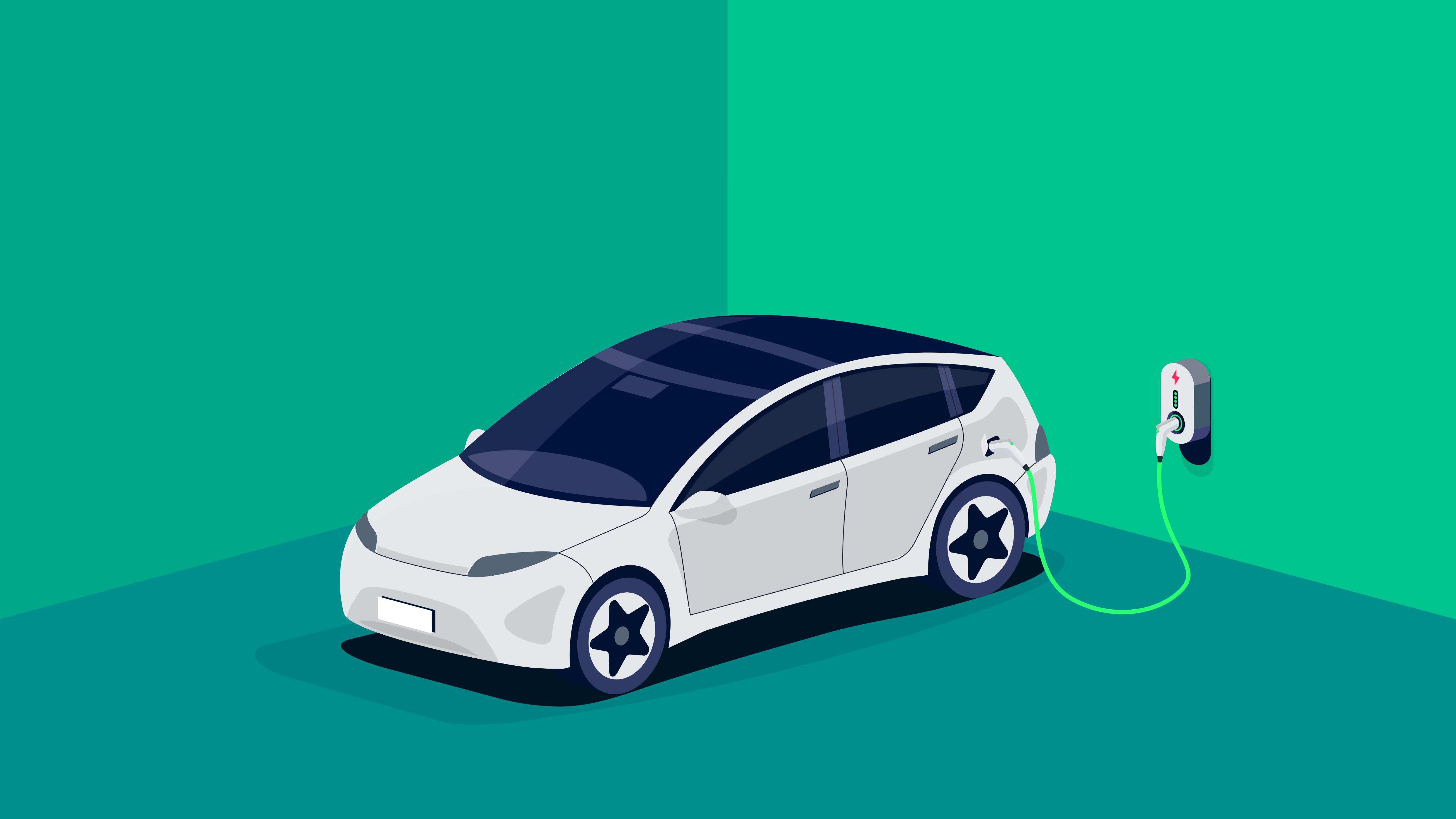 Beeld petovarga/Shutterstock.com