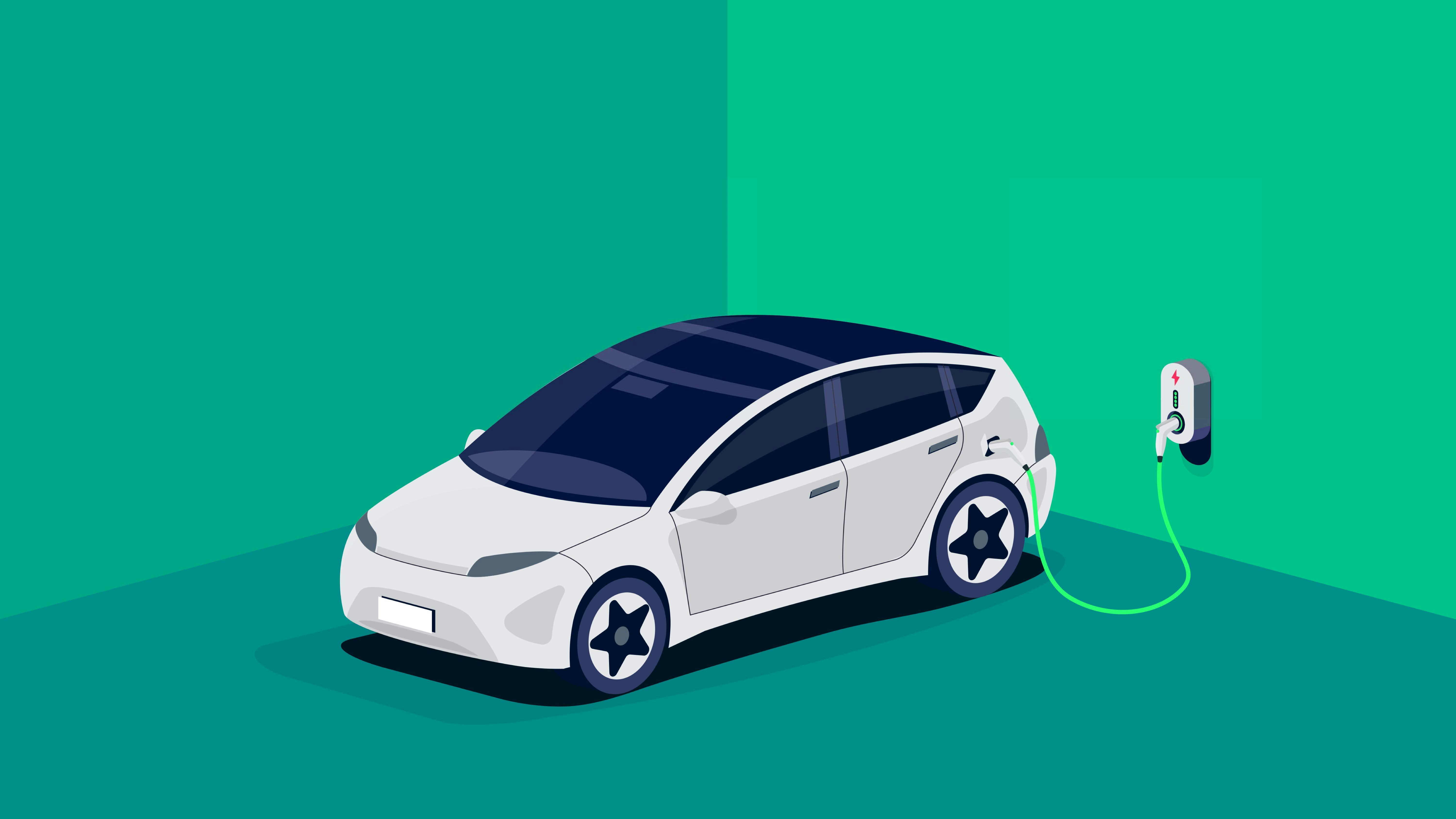 Beeld petovarga/Shutterstock.com