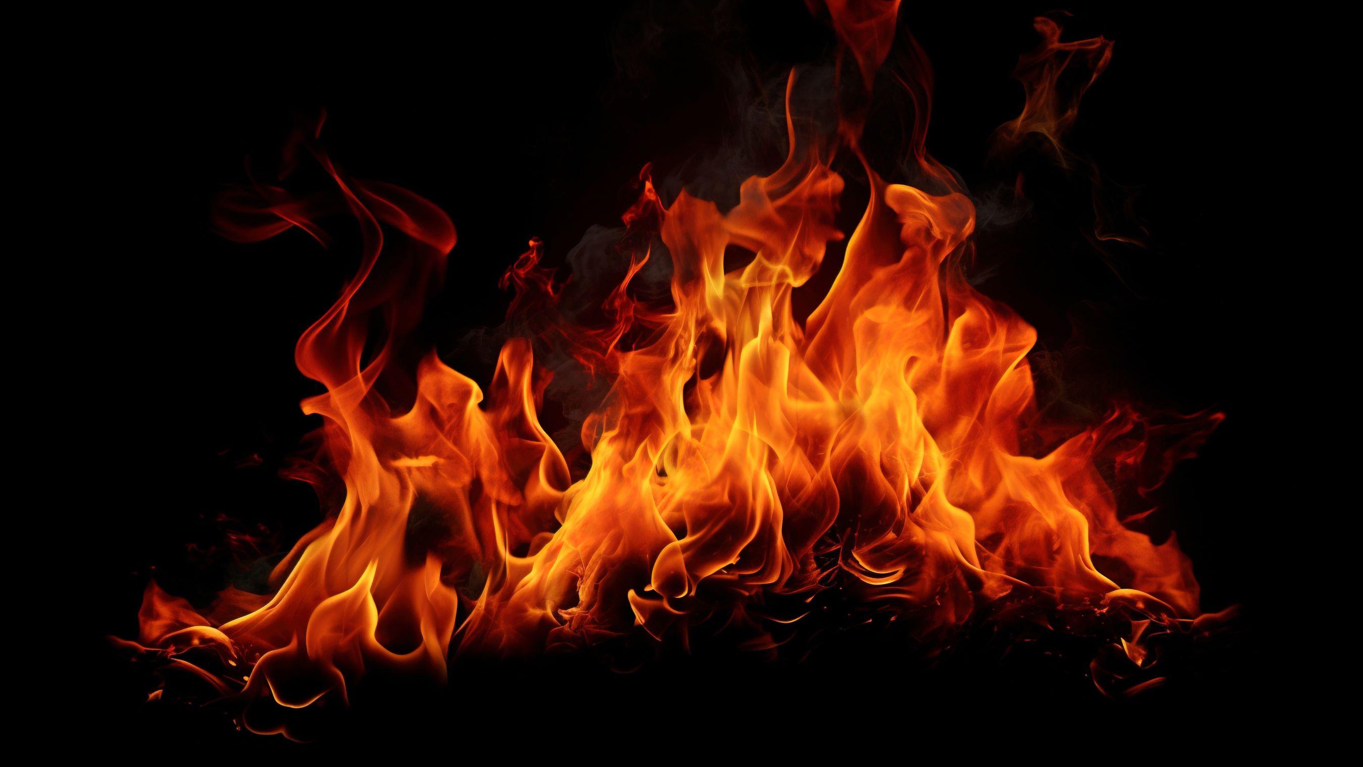 Beeld Vuang/Shutterstock.com